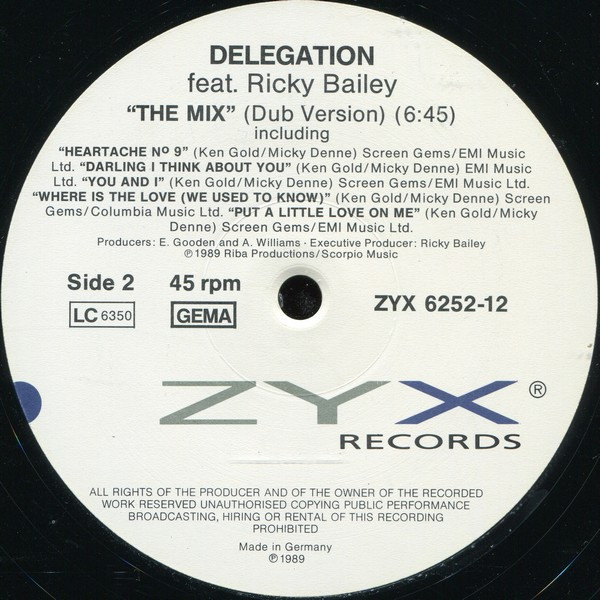 Delegation feat. Ricky Bailey – The Mix (Single)