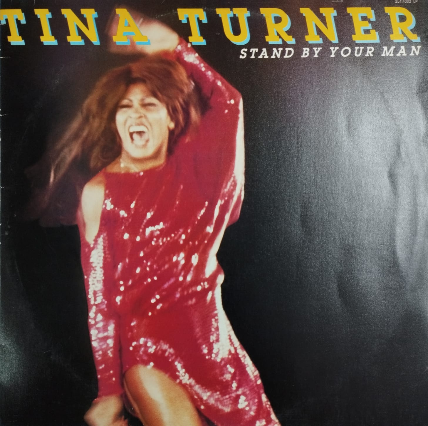 Tina Turner ‎– Stand By Your Man (Álbum)